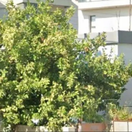 Gazde/Camere de închiriat Xrysanthis Kaouris *